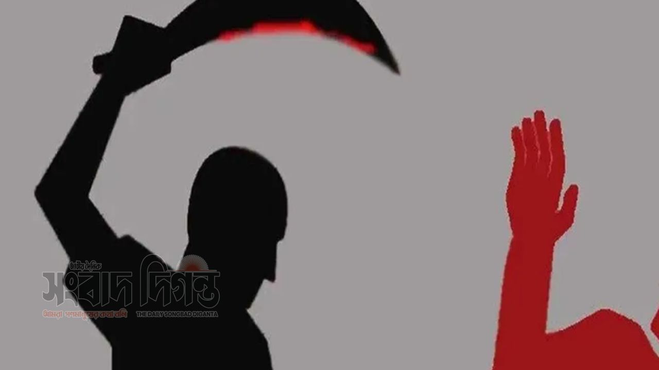 তারাপুর খেয়াঘাটে রক্তাক্ত ছিনতাই, আহত বিক্রয় প্রতিনিধি