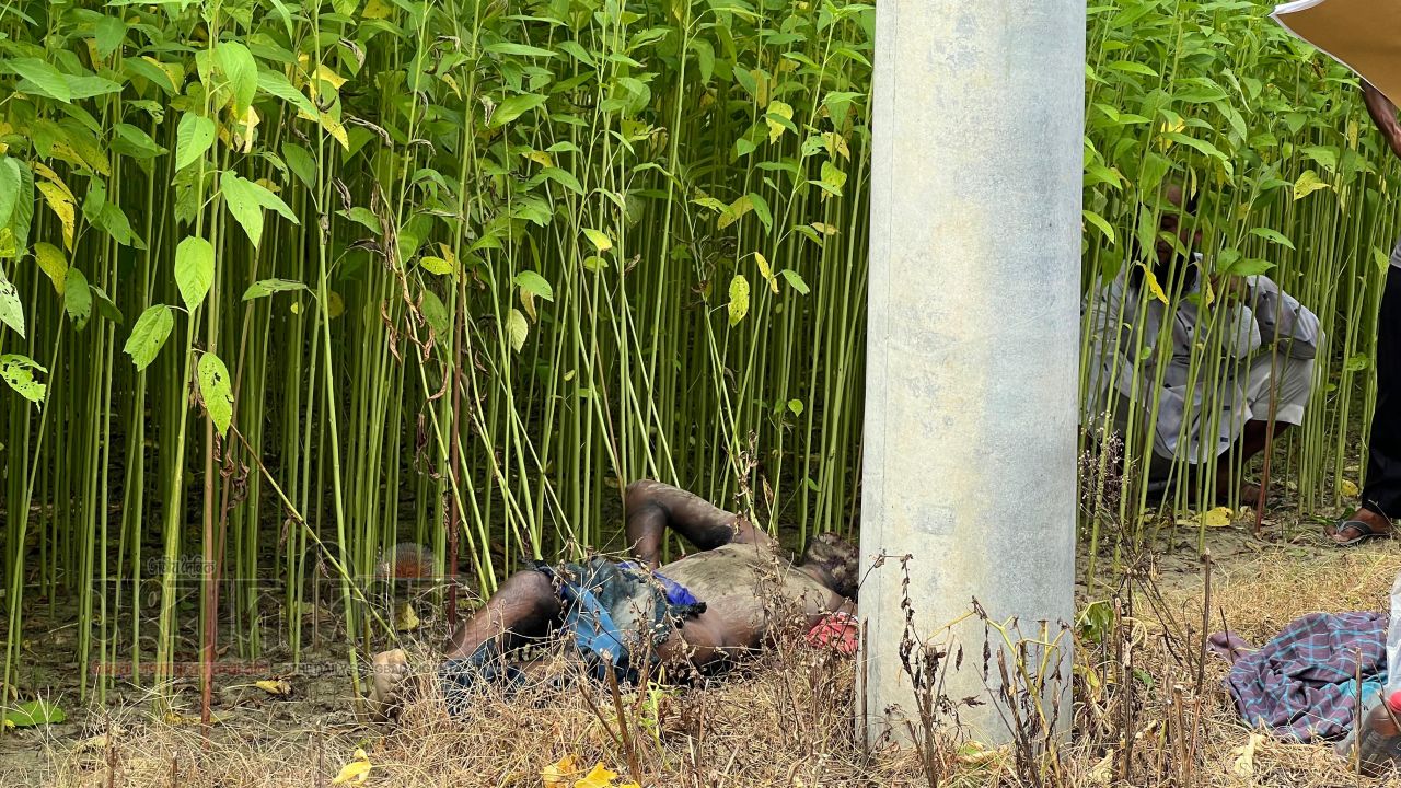 রাজবাড়ীর কালুখালীতে পাটক্ষেত থেকে যুবকের অগ্নিদগ্ধ মরদেহ উদ্ধার 