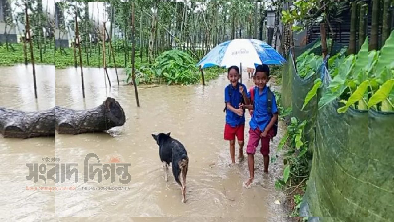 হাঁটুসমান পানি-কাদায় বন্দি ৩ হাজার শিক্ষার্থী, সংস্কারের দাবি জোরদার 