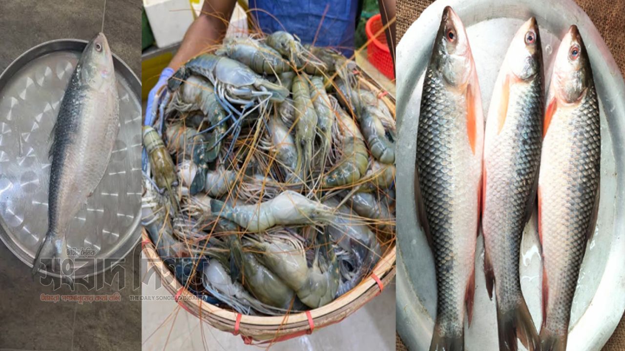 রাজধানীতে মাছের বাজারে আগুন: ইলিশ–রুই–চিংড়ির দাম আকাশছোঁয়া, ক্রেতারা বিপাকে 