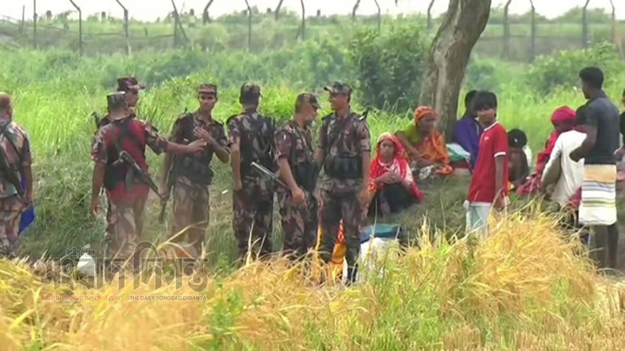 বিজিবির কঠোর অবস্থানে ব্যর্থ বিএসএফের পুশইন চেষ্টা, মেহেরপুর সীমান্তে উত্তেজনা