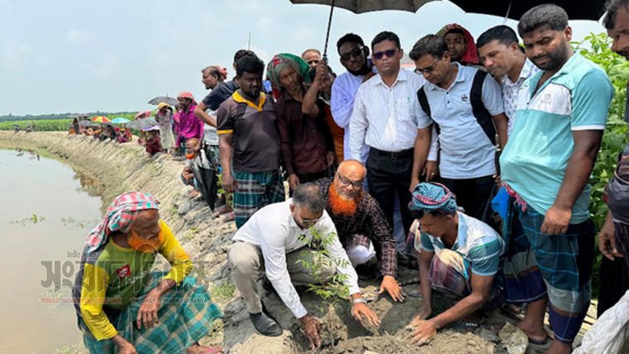 সবুজ বাংলাদেশ গড়তে বৃক্ষরোপণের বিকল্প নেই: খোকন