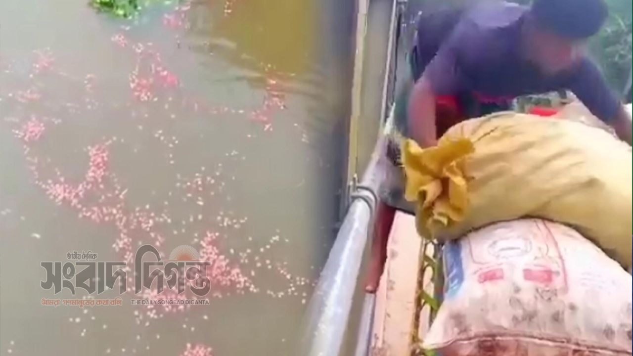 দাম না পেয়ে ক্ষোভ ও অভিমানে নিজের উৎপাদিত পেঁয়াজ পানিতে ফেললেন রাজবাড়ীর কৃষক 