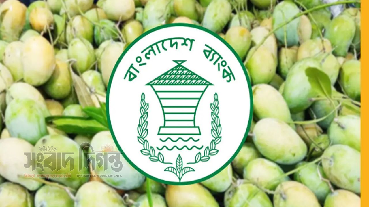 ৩১জুলাই পর্যন্ত আমবাজার এলাকায় শনিবারও চালু থাকবে ব্যাংকিং সেবা