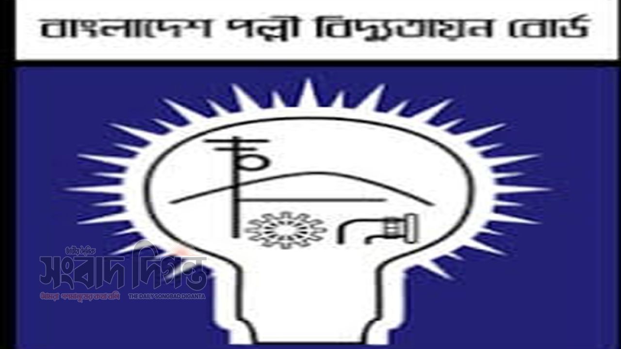 পল্লী বিদ্যুতের বিল নিয়ে গ্রাহকদের ক্ষোভ: এক মাসে দ্বিগুণ বিল, দুর্ভোগের শেষ কোথায় 