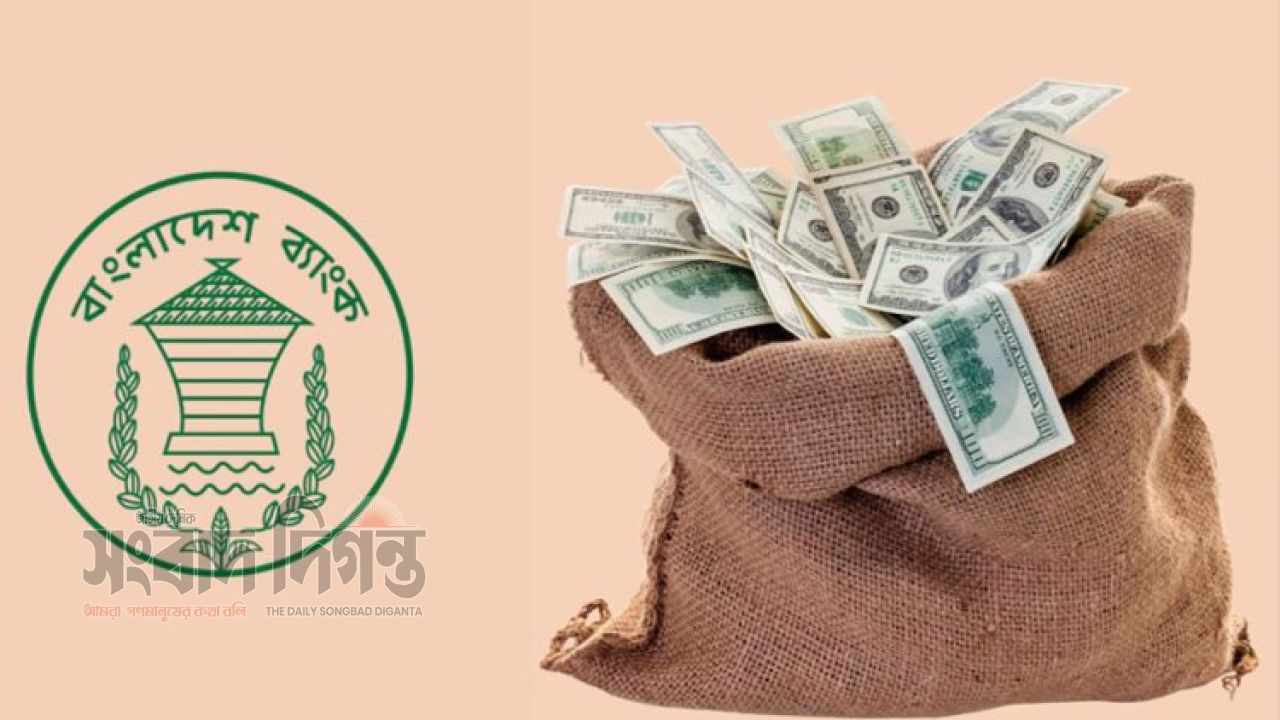 আবারও বাড়ল বৈদেশিক মুদ্রার রিজার্ভ, ৩৬ দশমিক ৩১ বিলিয়ন ডলারে পৌঁছাল 