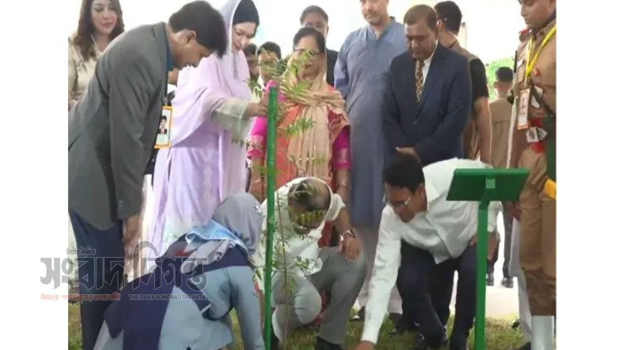 দেশের ২৯ হাজার শিক্ষা প্রতিষ্ঠানে বৃক্ষরোপণ কর্মসূচির উদ্বোধন প্রধানমন্ত্রীর 