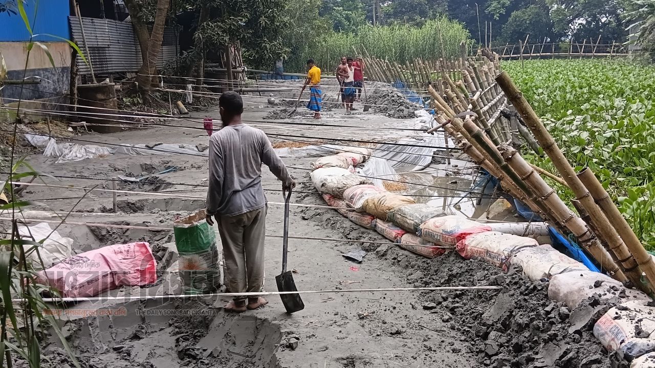 কালকিনিতে ফসলি জমি কেটে বালু উত্তোলন, ভরাট হচ্ছে সরকারি খাল 