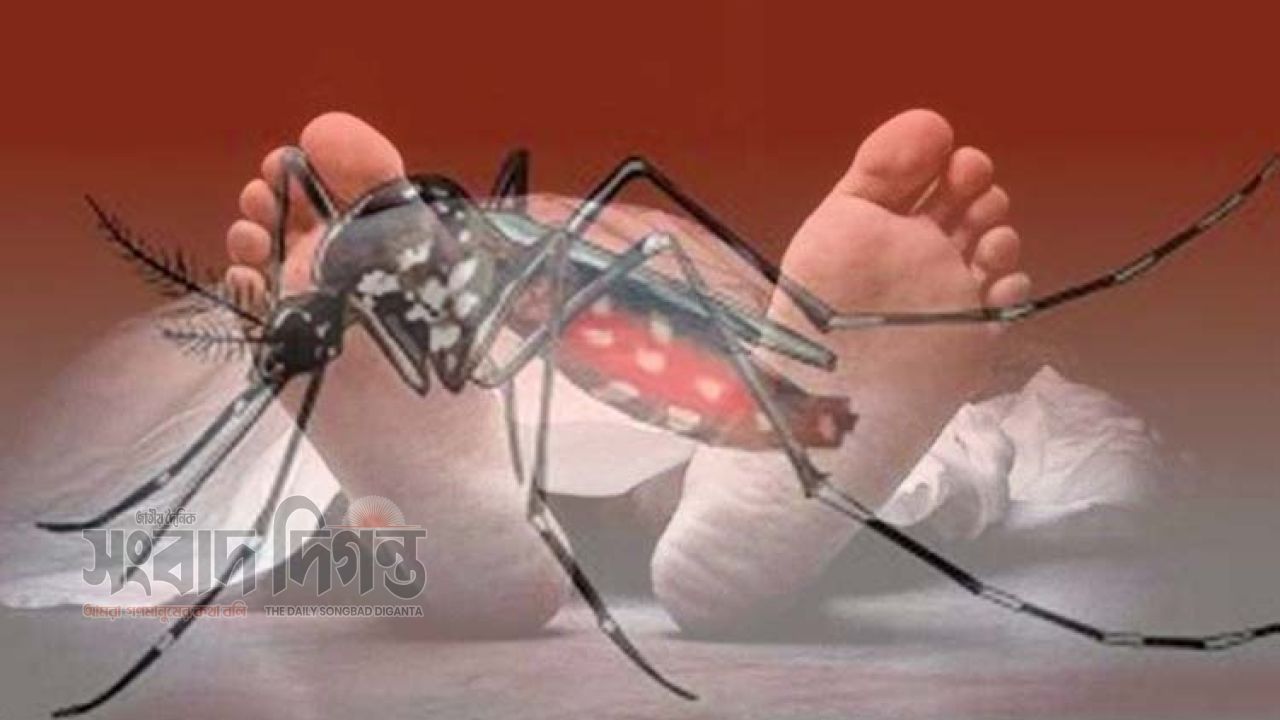ডেঙ্গুতে ফের প্রাণহানি একদিনে আরও ৫জনের  মৃত্যু