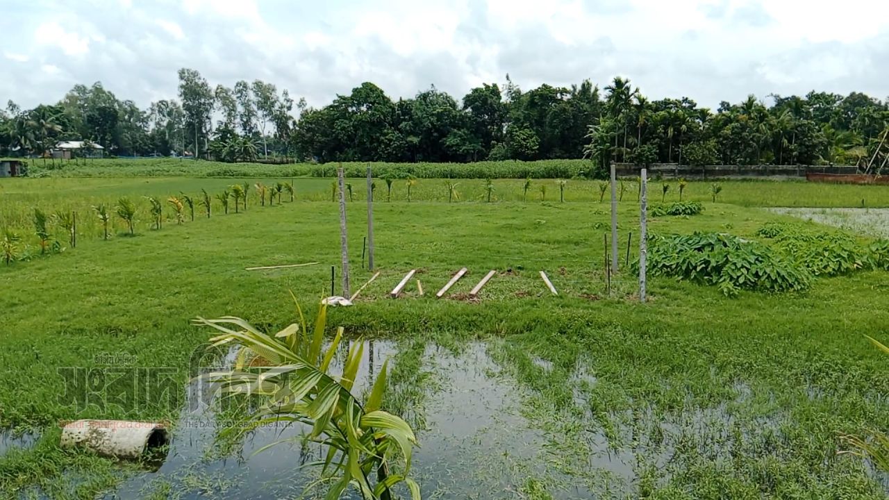 মাদারগঞ্জে জোর করে জমি দখল করে ঘর তোলার চেষ্টা, স্বেচ্ছাসেবক দলের নেতার বিরুদ্ধে 