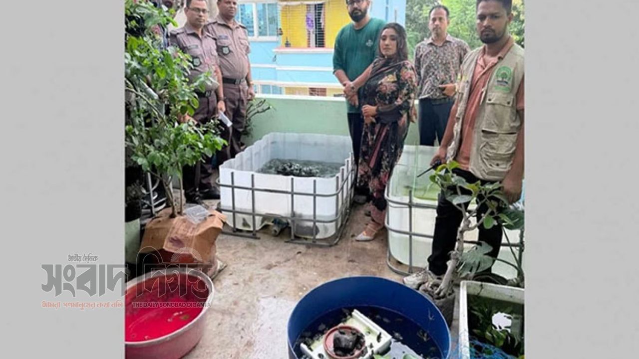 রাজধানীতে অবৈধ বন্যপ্রাণী বাণিজ্যের আস্তানা, উদ্ধার ১,১০৪ বিদেশি প্রাণী