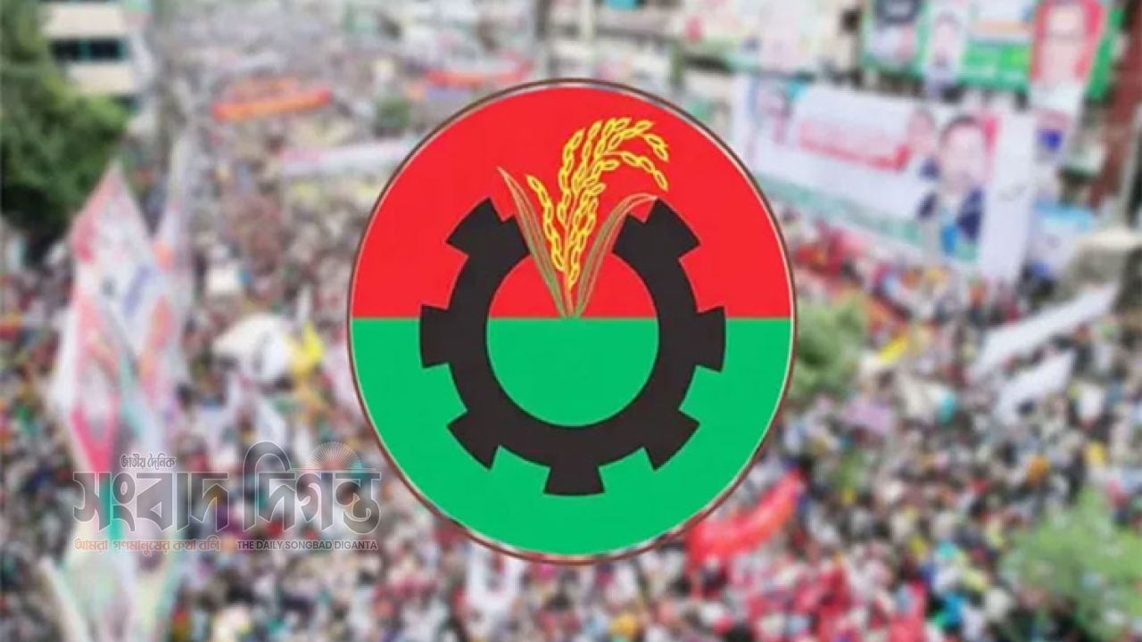 স্থানীয় সরকার ভোটে এখনই নয় দলীয় সমর্থন, তফসিলের পর সিদ্ধান্ত বিএনপির 