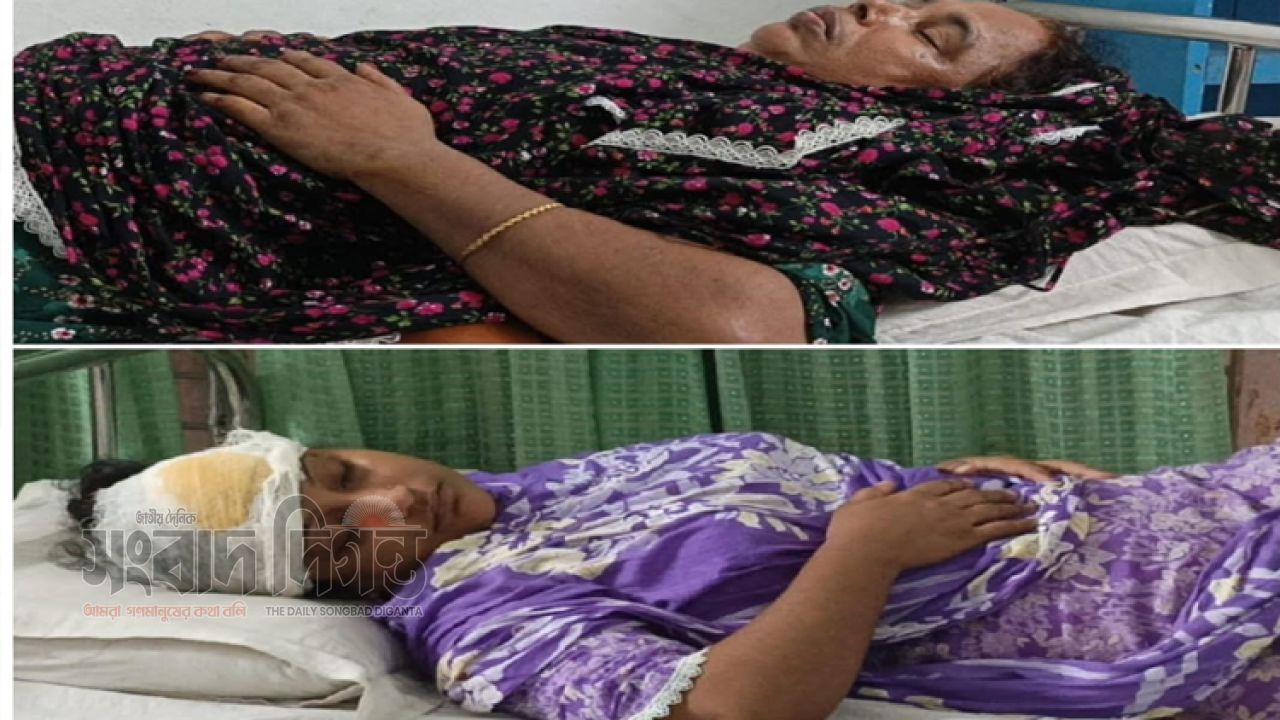 সাভারে সাবেক ছাত্রদল নেতার বাড়ি দখলের চেষ্টার অভিযোগ, মাদক সম্রাট শামীমের স্ত্রীর নেতৃত্বে হামলা 