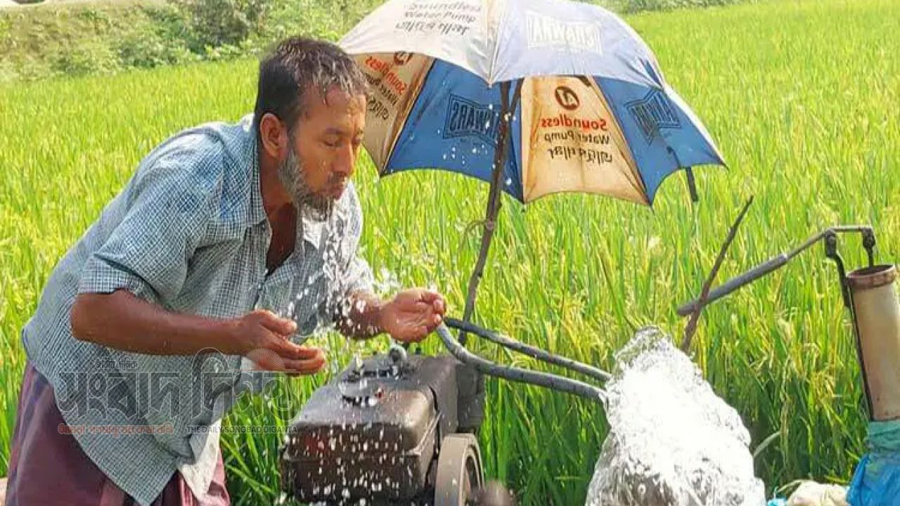 সাত জেলায় মৃদু তাপপ্রবাহ, সারা দেশে বৃষ্টির আভাস 