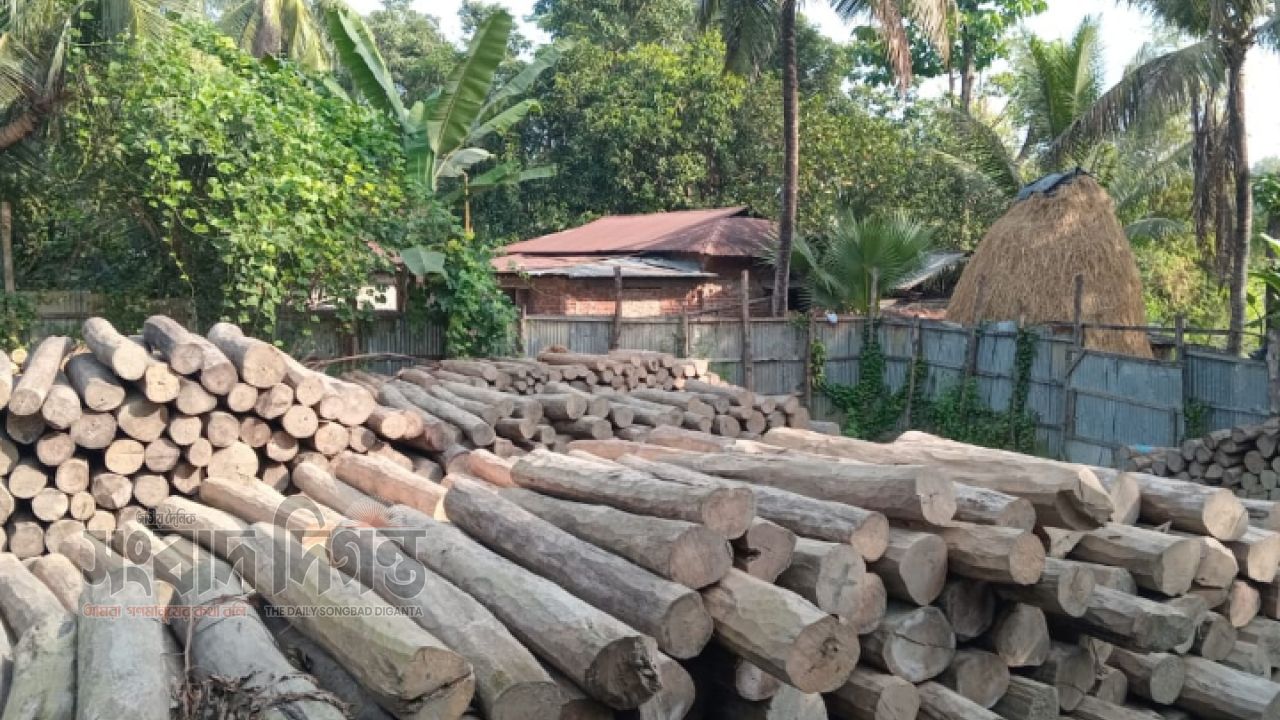 উজাড় হচ্ছে লামার সংরক্ষিত বন, রেঞ্জ কর্মকর্তার বিরুদ্ধে অভিযোগ