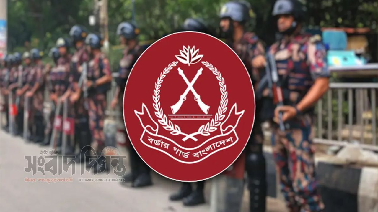 জুনজুড়ে সীমান্তে বিজিবির সাঁড়াশি অভিযান, অস্ত্র-মাদকসহ বিপুল চোরাই মালামাল উদ্ধার
