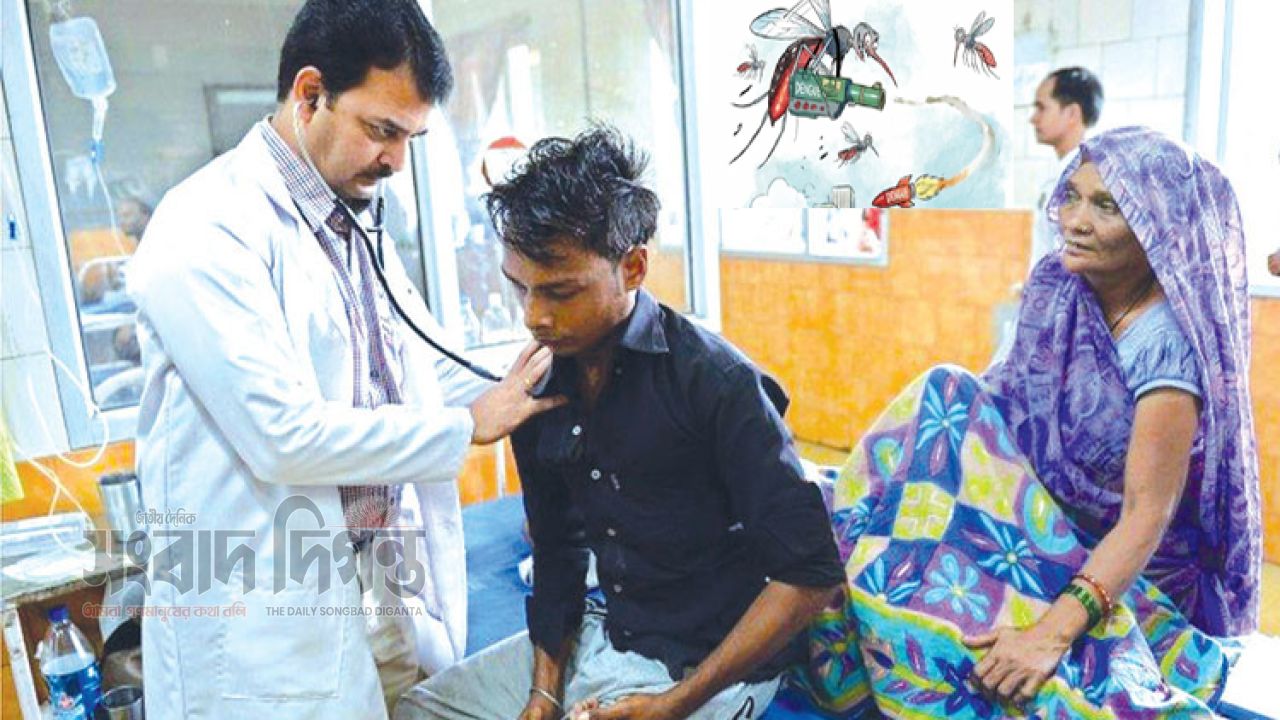 ডেঙ্গুতে স্বস্তির দিন তবু কমছে না ডেঙ্গুর প্রকোপ ২৪ ঘণ্টায় হাসপাতালে ভর্তি ২৫১