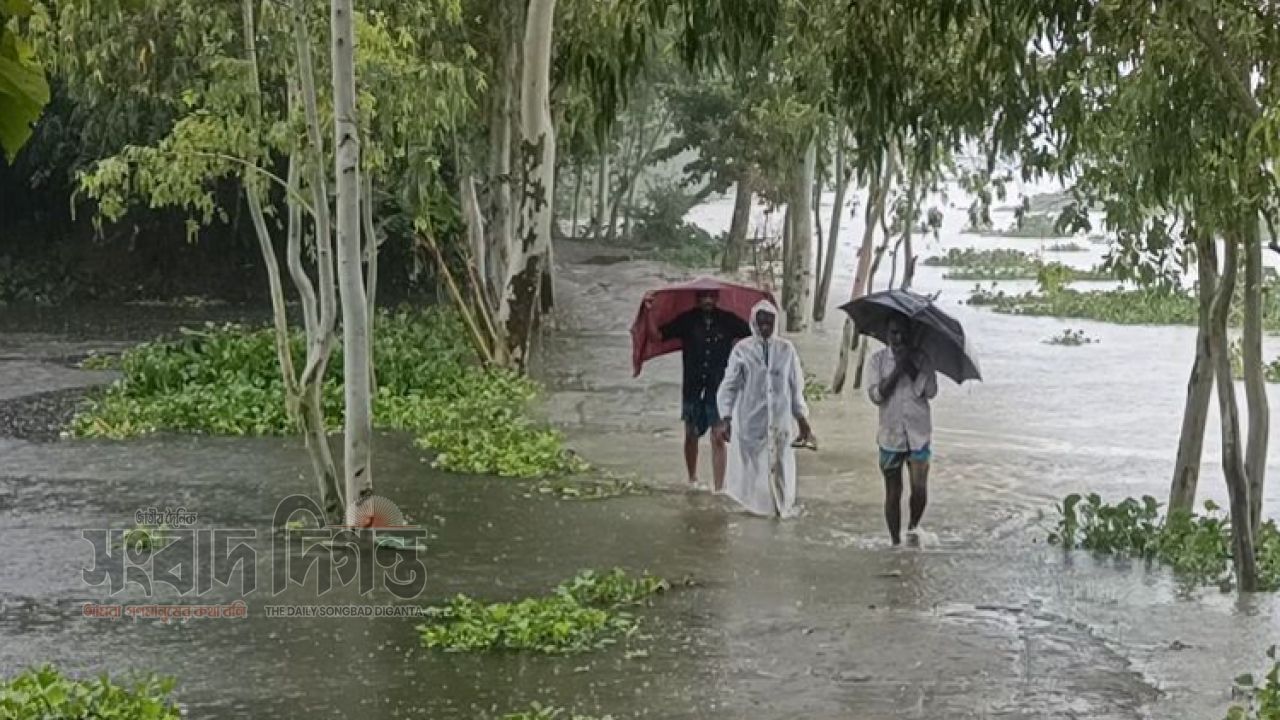 হাঁটু পানি, বন্ধ জীবিকা জলাবদ্ধতায় অবরুদ্ধ সাতক্ষীরা