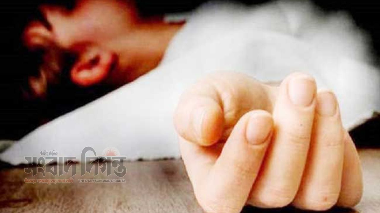 মেহেন্দিগঞ্জে লুডু খেলায় তর্ক, হাতুড়িপেটায় যুবকের মৃত্যু 