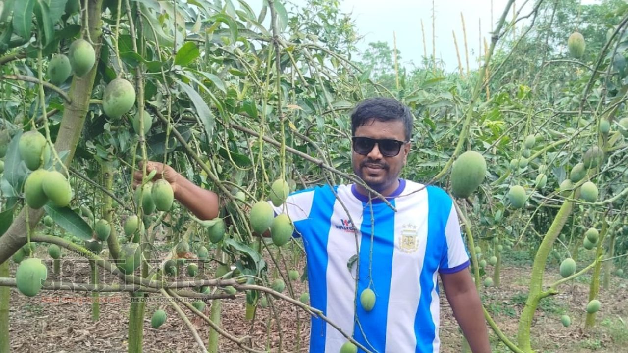 অনলাইনে আম বেচে ভাগ্যের চাকা ঘুরিয়েছেন তরুণ উদ্যোক্তা বদলগাছীর মোস্তাকিম