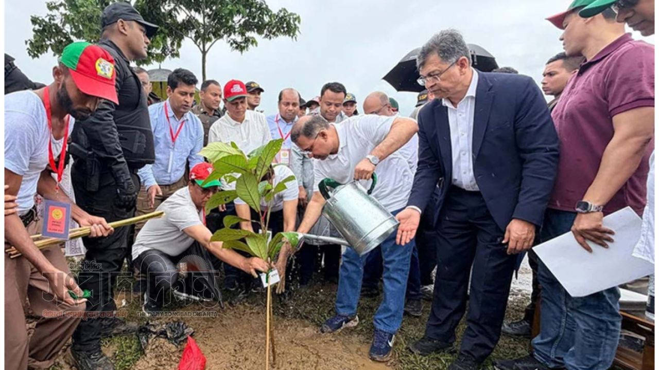 ‘দেশজুড়ে ২৫ কোটি গাছের চারা রোপণ করা হবে’ : প্রধানমন্ত্রী