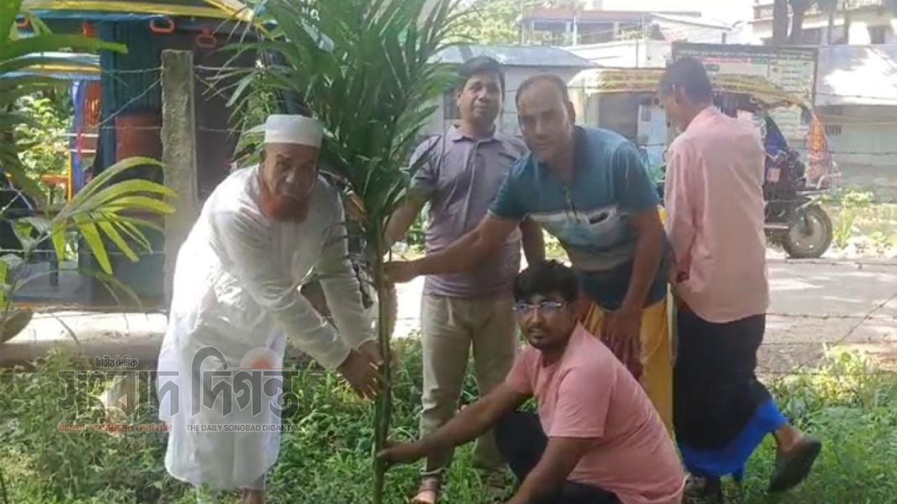 আনন্দ টিভির ব্যবস্থাপনা পরিচালকের জন্মদিনে মণিরামপুরে বৃক্ষরোপণ কর্মসূচি পালন 