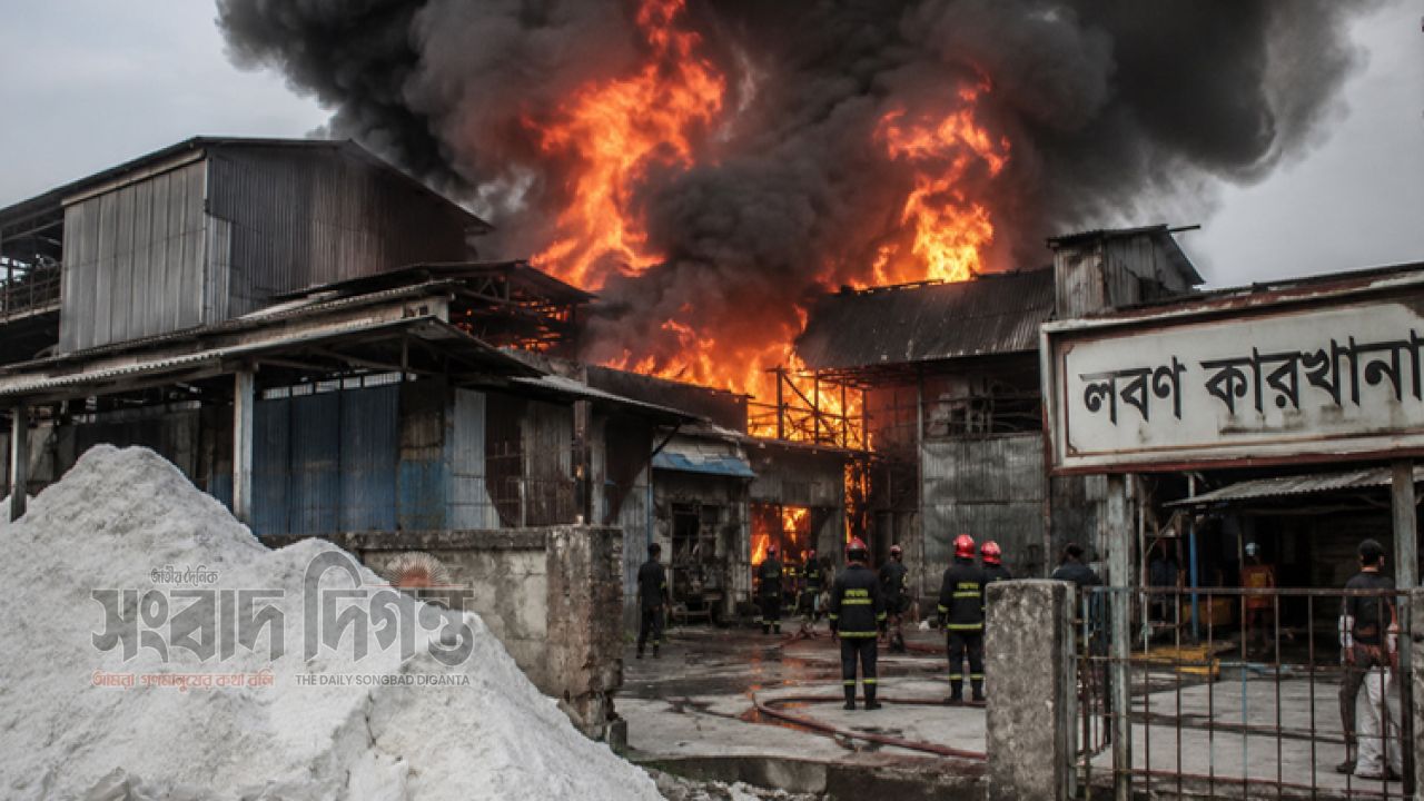 শর্ট সার্কিটে কনফিডেন্স লবণ কারখানায় আগুন, দগ্ধ ১০ শ্রমিক 