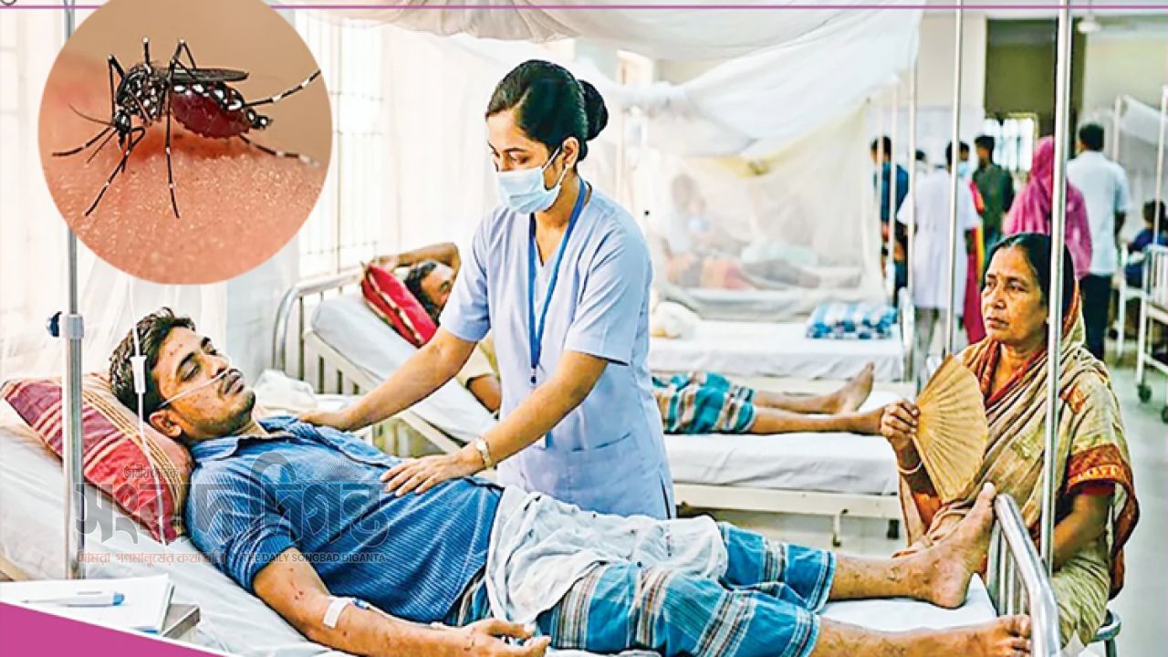 বন্যা কমতেই চট্টগ্রামে ডেঙ্গুর থাবা, ১৯ দিনেই হাসপাতালে ২৬০ রোগী 