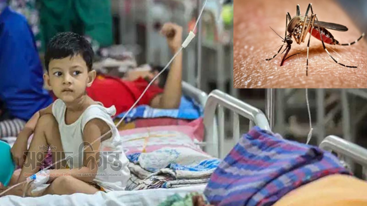 বর্ষায় বাড়ছে ডেঙ্গুর দাপট, সেপ্টেম্বর পর্যন্ত উচ্চ ঝুঁকির সতর্কতা 