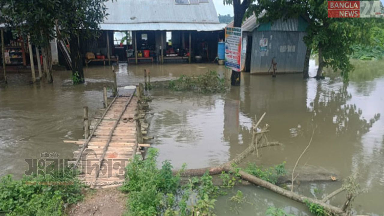 পাহাড়ি ঢলে নেত্রকোনায় বন্যার শঙ্কা, ক্ষতিগ্রস্ত স্কুল ও সড়ক 