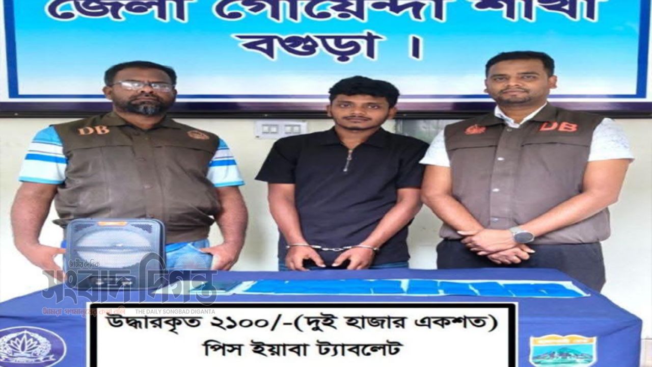 বগুড়ায় ২ হাজার পিস ইয়াবা ট্যাবলেটসহ মাদকদ্রব্য ইয়াবা কারবারী মামুন গ্রেফতার 