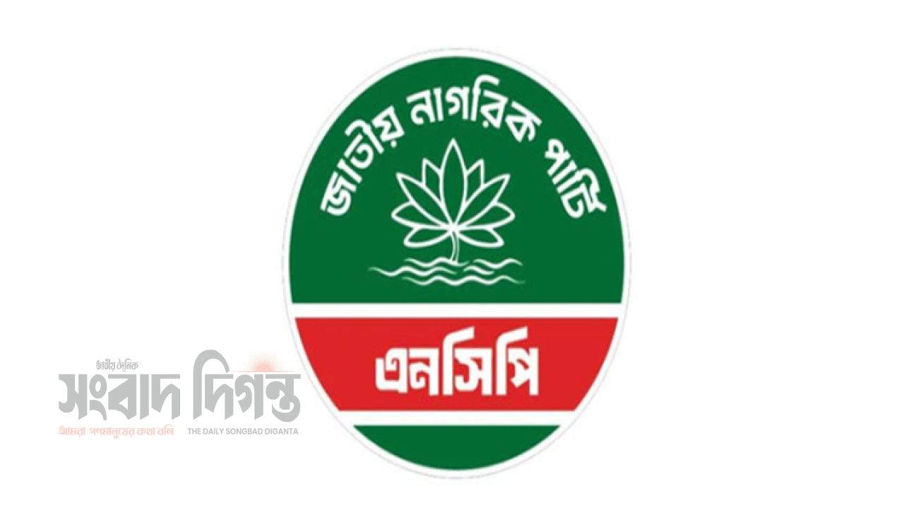 পদযাত্রা শেষে হামলার অভিযোগ, মাঠে নামছে এনসিপি 