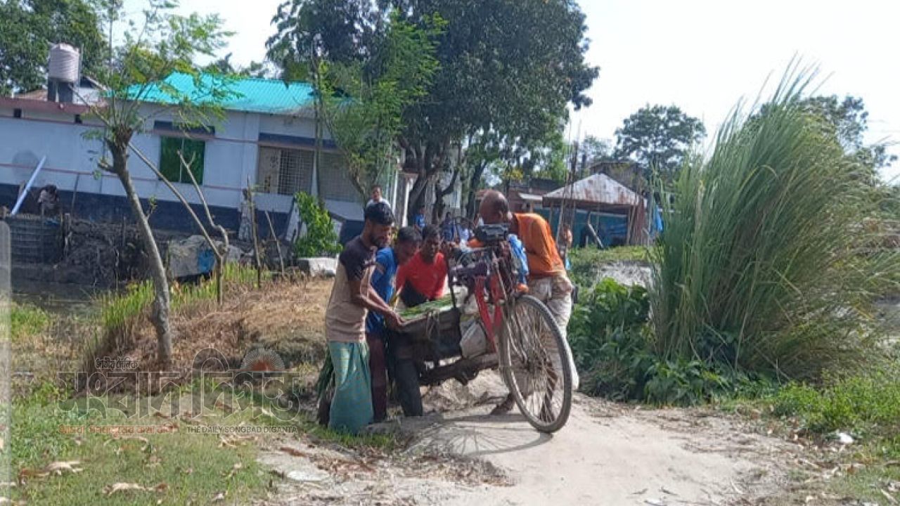 বড় বড় গর্তে বেহাল সড়ক, গংগাচড়ার বড়বিলে দুর্ভোগে দেড় হাজার মানুষ
