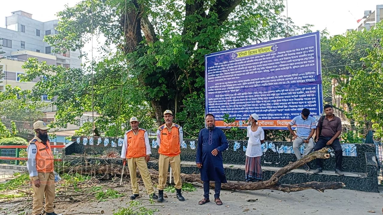 সিরাজগঞ্জে শতবর্ষী কড়ই গাছের ঝুঁকিপূর্ণ শুকনো ডাল অপসারণ, স্বস্তি পথচারীদের
