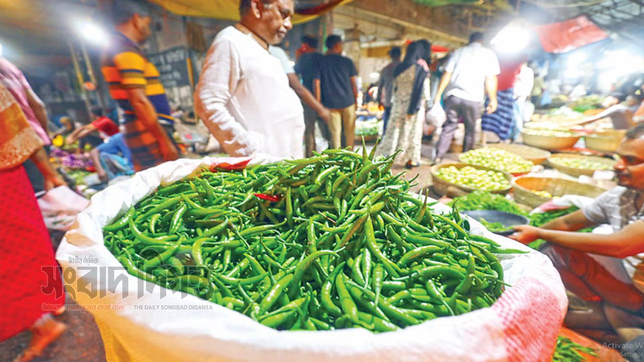 বৃষ্টিতে মরিচের আগুন: রাজধানীর বাজারে কেজি ৪০০ টাকা ছুঁইছুঁই 