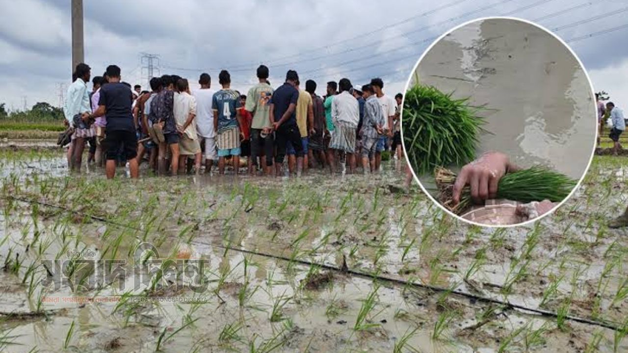 ফটিকছড়িতে ধানের চারা রোপণের সময় বিদ্যুৎস্পৃষ্ট হয়ে কৃষি শ্রমিকের মৃত্যু 