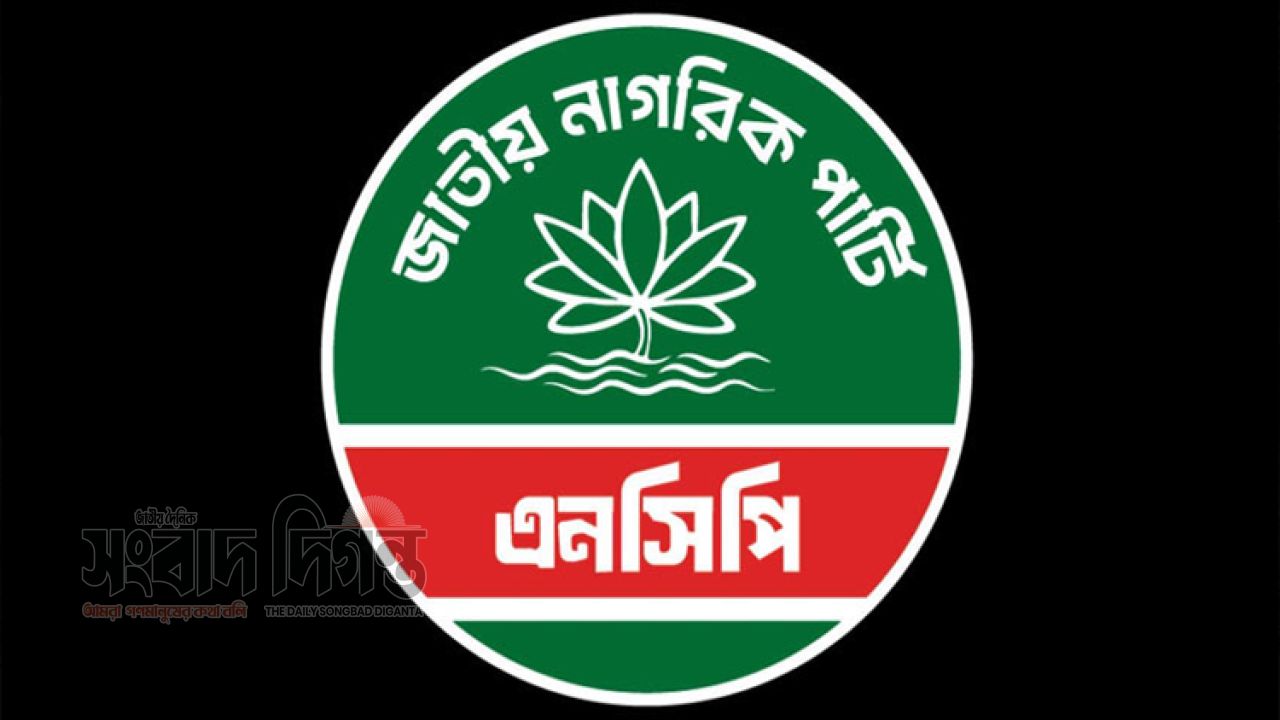 গ্যাস সংকট ও মূল্যবৃদ্ধির প্রতিবাদে আজ রাজধানীতে এনসিপির বিক্ষোভ মিছিল 