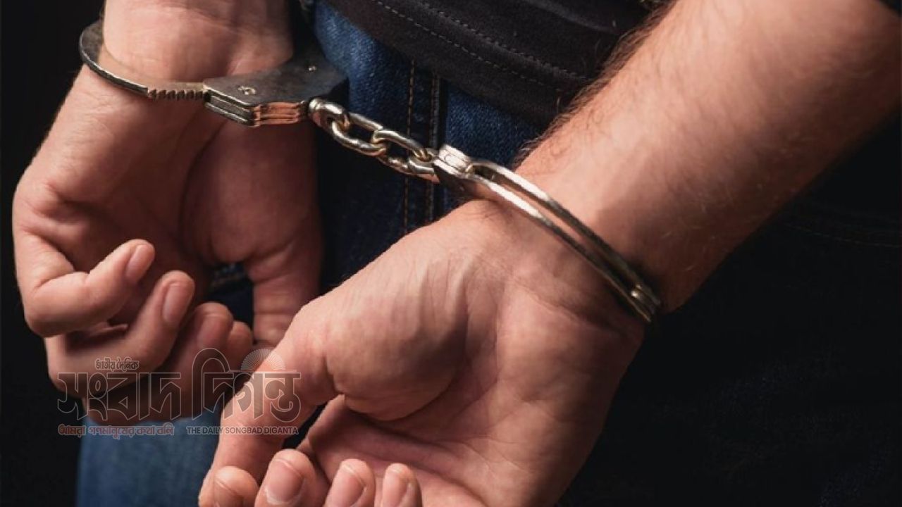 ঢাকাজুড়ে পুলিশের বিশেষ অভিযান, ৪১৯ জন গ্রেপ্তার 