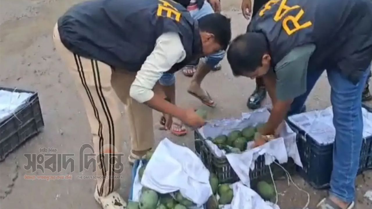 আমের ক্যারেটে লুকানো ৩৭৭ বোতল ‘ফেয়ারডিল’, রূপগঞ্জে মাদক কারবারি গ্রেপ্তার
