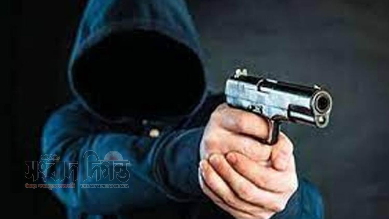 পল্লবীতে চায়ের দোকানে গুলিবর্ষণ: বিএনপি নেতা ও পথচারী নারী আহত