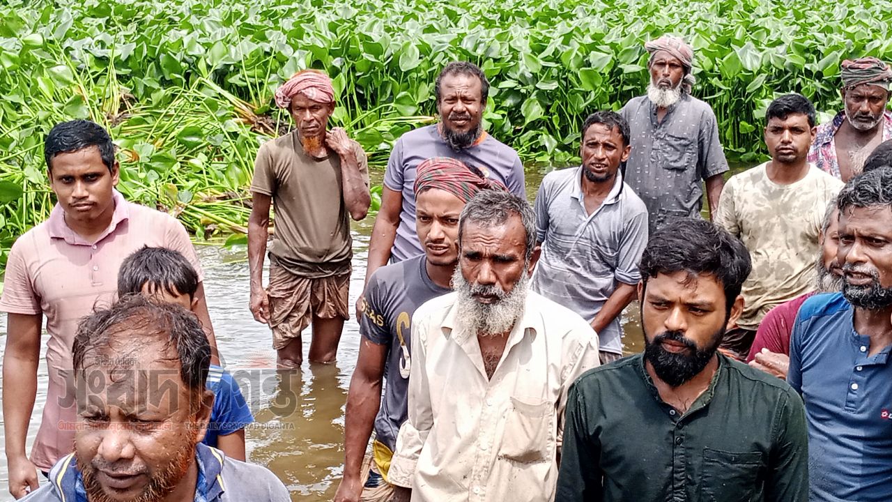 পাঁচবিবিতে জলাবদ্ধতার অবসান, কৃষকদের মুখে হাসি 