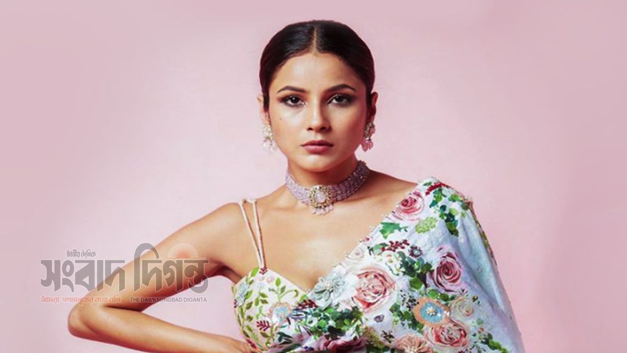 প্রেমের গুঞ্জনের মাঝেই শেহনাজ