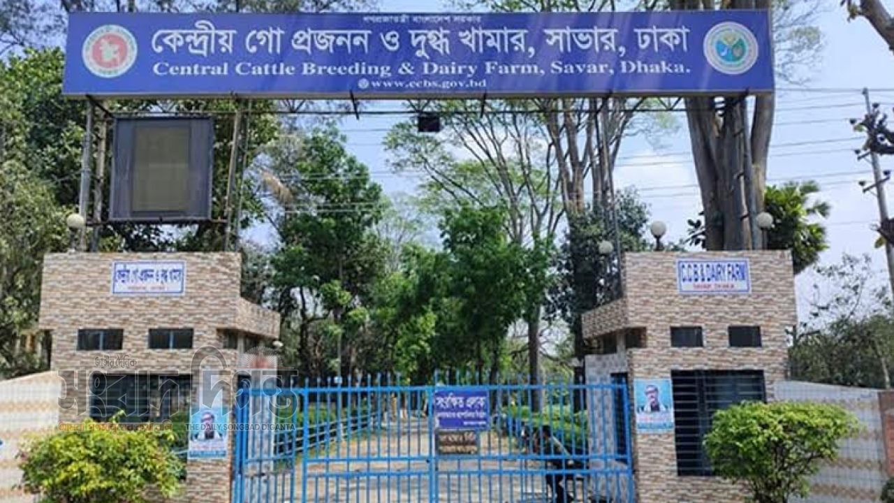 সাভার ডেইরী ফার্মে বহিরাগত বখাটের হামলায় এক কর্মচারী মৃত্যুশয্যায়
