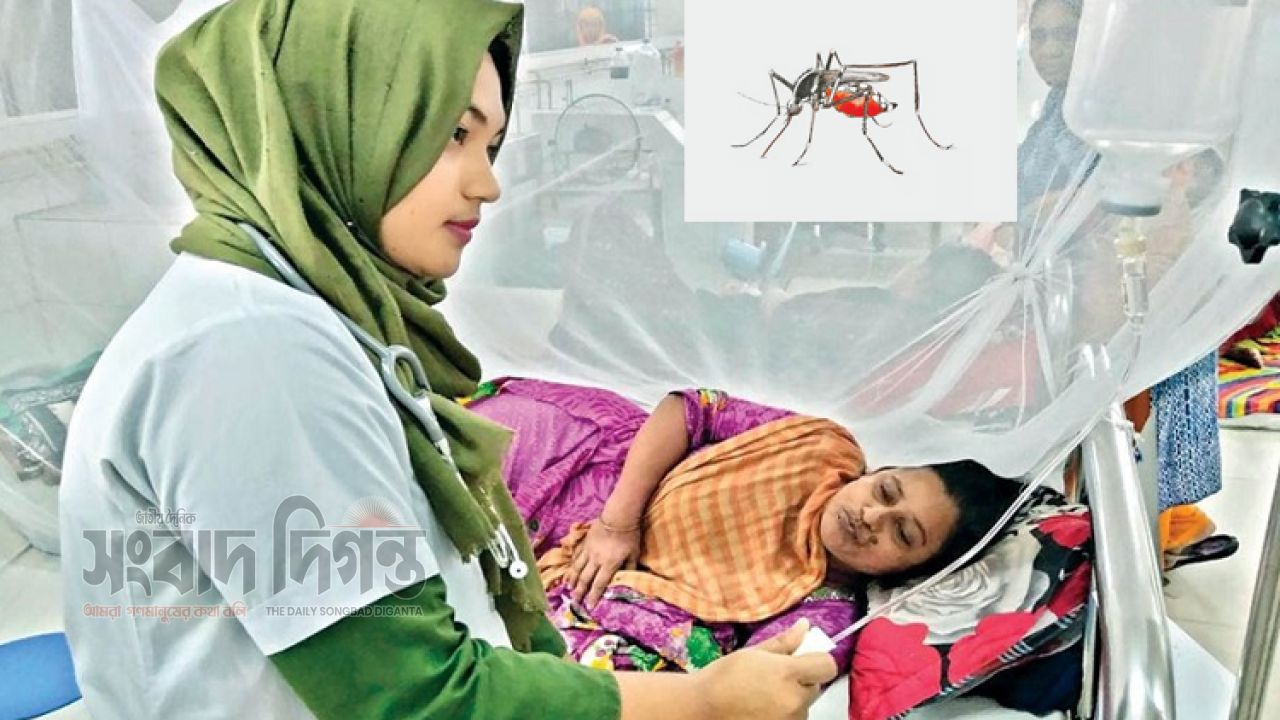 ডেঙ্গুতে চলতি বছর প্রাণহানি ৬৭, একদিনে আক্রান্ত হয়ে হাসপাতালে ৭৩০ 