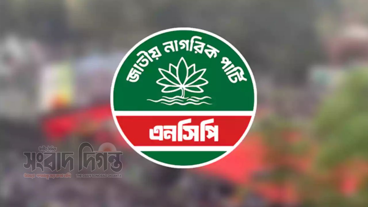 এনসিপির কমিটিতে মৃত তরুণের নাম, একই ব্যক্তির নামও দুইবার 