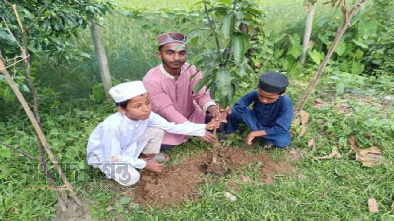 হযরত শাহ আজম (রহ.) দরগাহ্ ফাউন্ডেশনের উদ্যোগে ৬ষ্ঠ ধাপে বৃক্ষরোপণ 