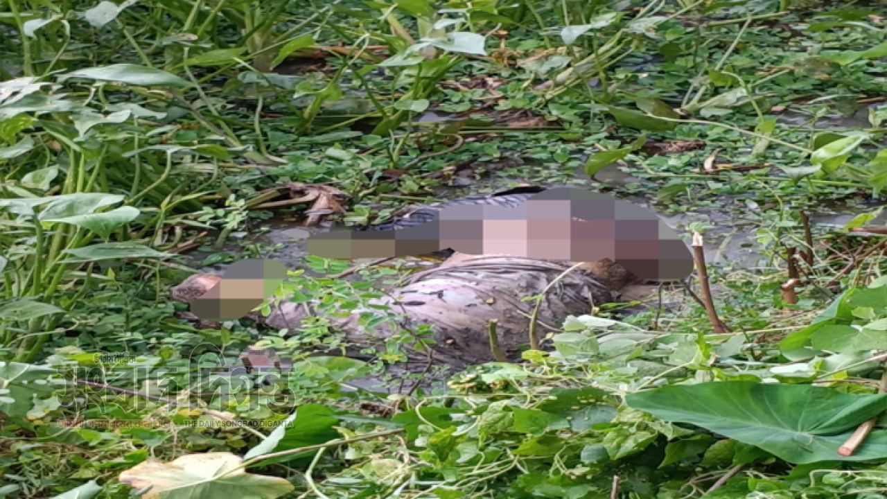 মাদারগঞ্জে নিখোঁজ অটোচালক জহরুল ইসলামের অর্ধগলিত লাশ উদ্ধার 