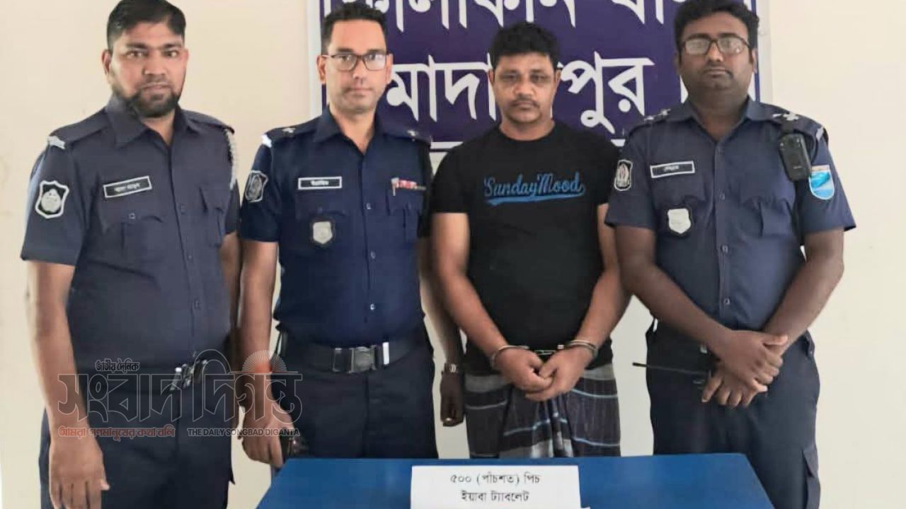 কালকিনিতে পুলিশের অভিযানে বিপুল ইয়াবাসহ মাদককারবারি আটক