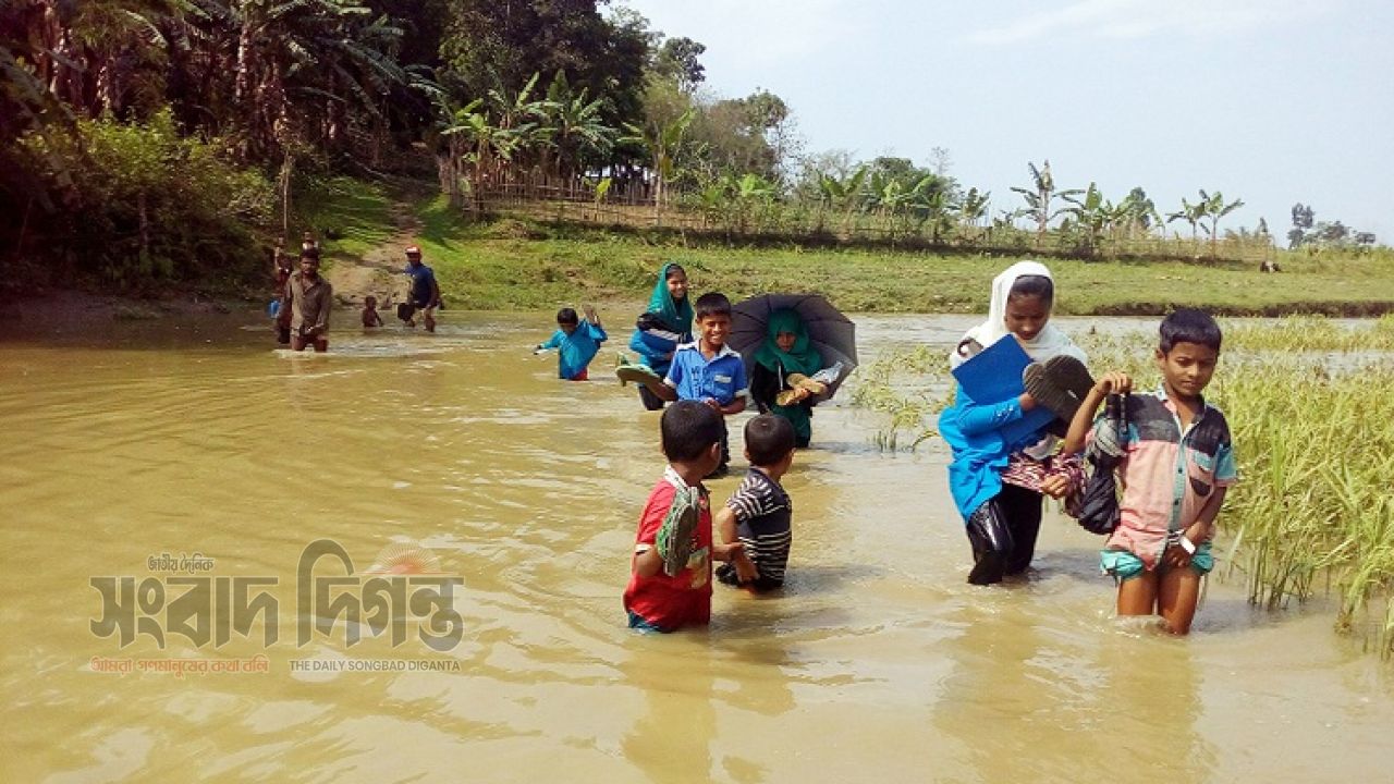 রাস্তা নেই, সেতুও নেই খাল সাঁতরে স্কুলে যায় শত শত শিশু