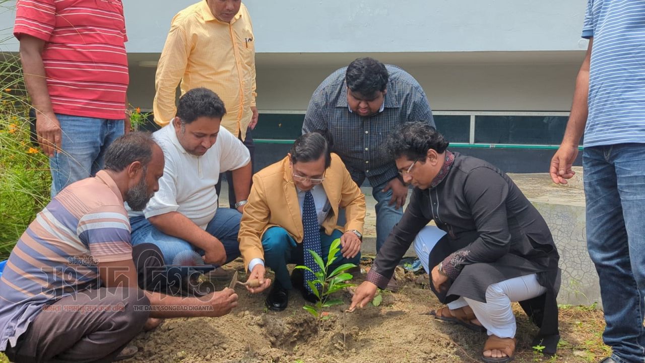 মাভাবিপ্রবিতে ৩ হাজার গাছ রোপণের কার্যক্রম শুরু 